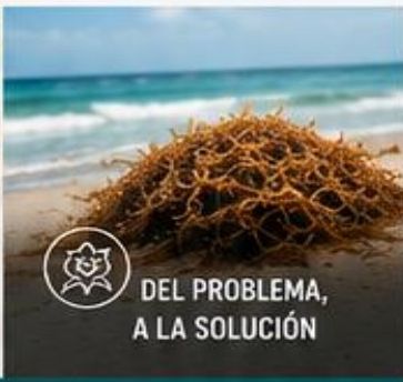 Economía circular